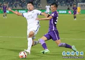 大连一方客场战平上海申花，互咬一口的简单介绍