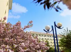 包含大连人对阵青岛黄海,谁将实现胜利?的词条 包含大连人对阵青岛黄海,谁将实现胜利?的词条