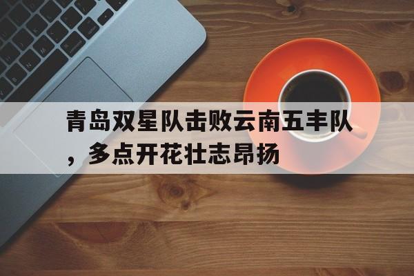 青岛双星队击败云南五丰队,多点开花壮志昂扬(青岛双星二队) 青岛双星队击败云南五丰队,多点开花壮志昂扬(青岛双星二队)